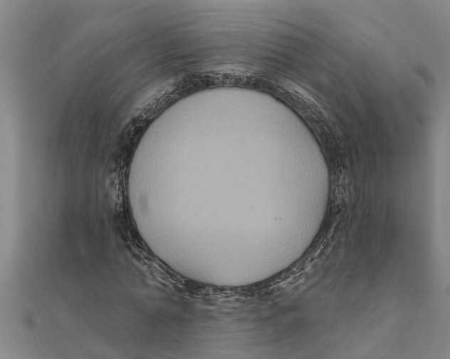 X0000111520774200908041243