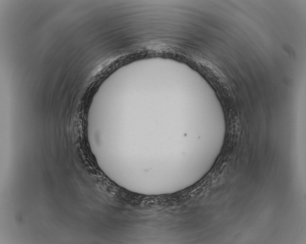 X0000111520776200908041243
