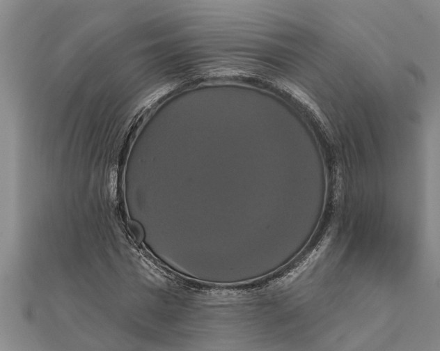 X0000111520777200908041243