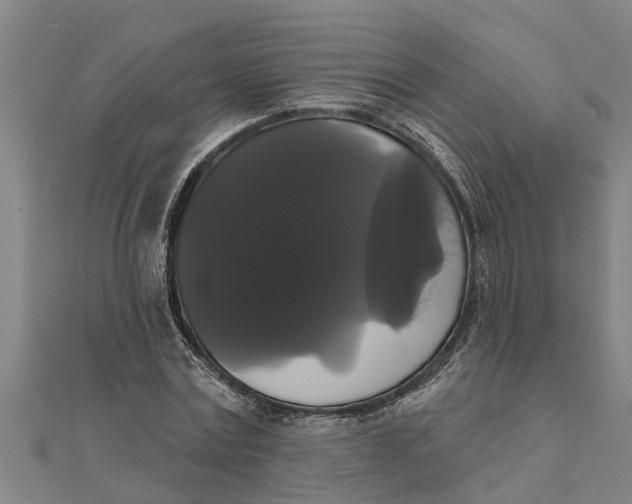 X0000111520779200908041243