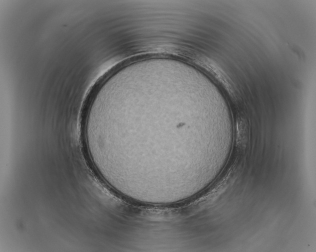 X0000111520780200908041243