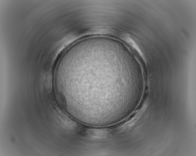 X0000111520781200908041243