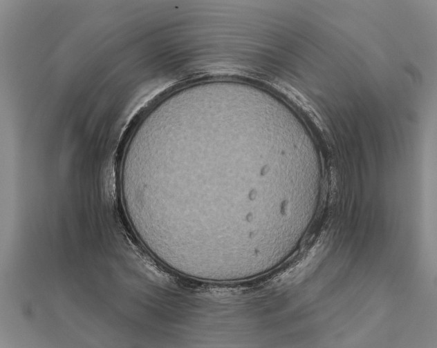 X0000111520782200908041243