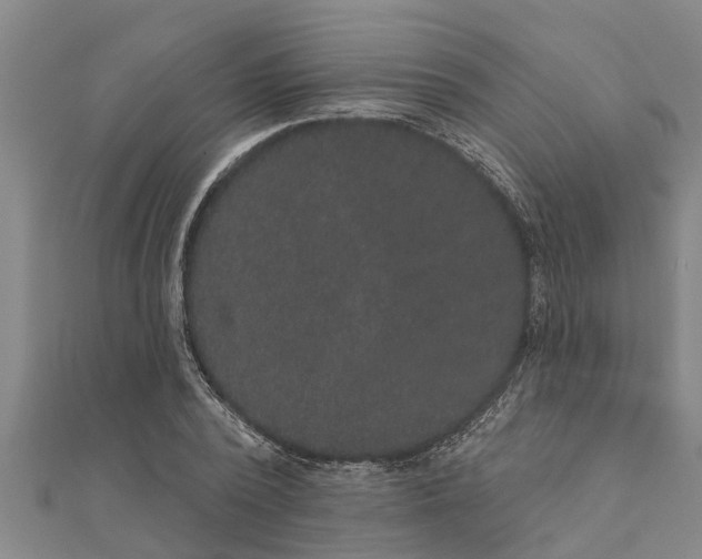 X0000111520784200908041242