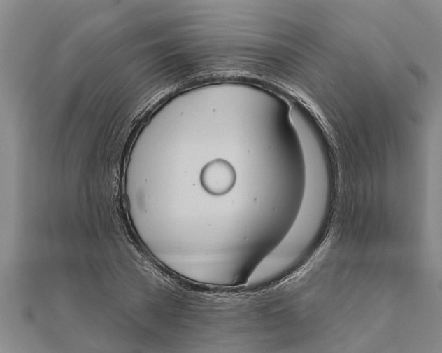 X0000111520785200908041242
