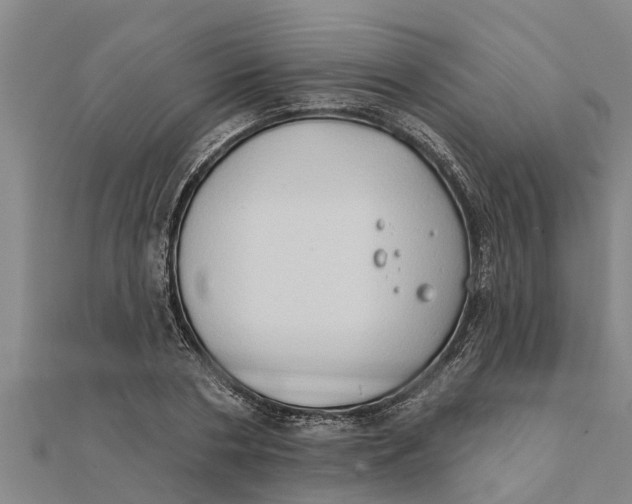 X0000111520786200908041242