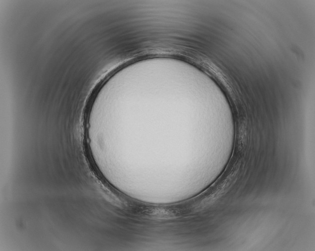 X0000111520787200908041242
