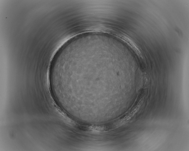 X0000111520788200908041242