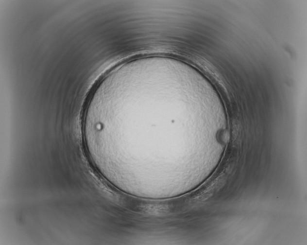 X0000111520789200908041242