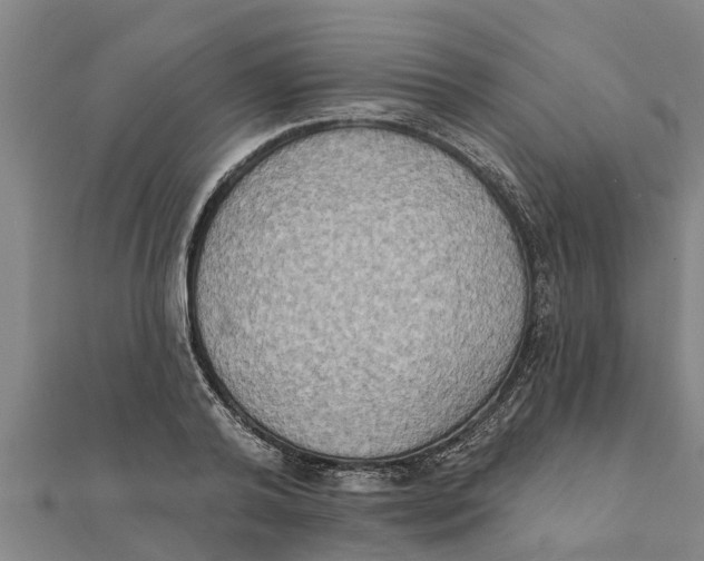 X0000111520792200908041242