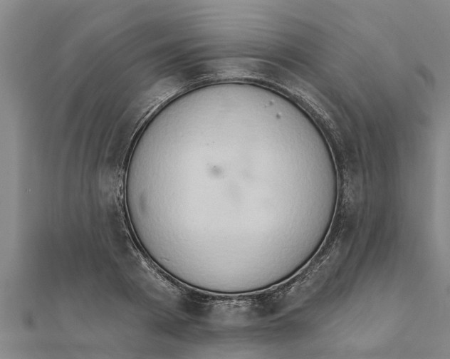 X0000111520793200908041242