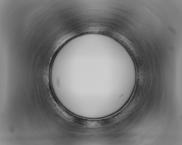 X0000111520794200908041242