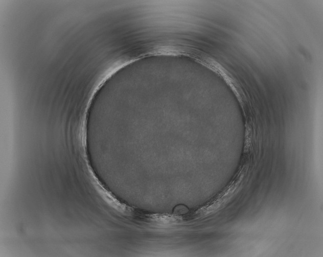 X0000111520795200908041242