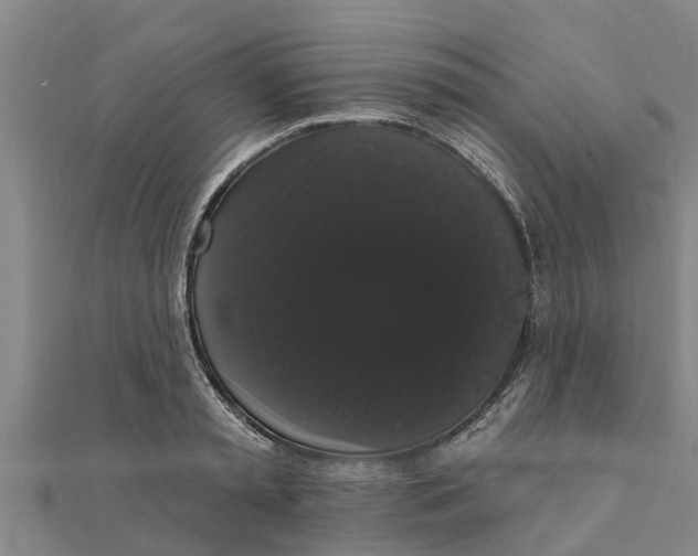 X0000111520797200908041242