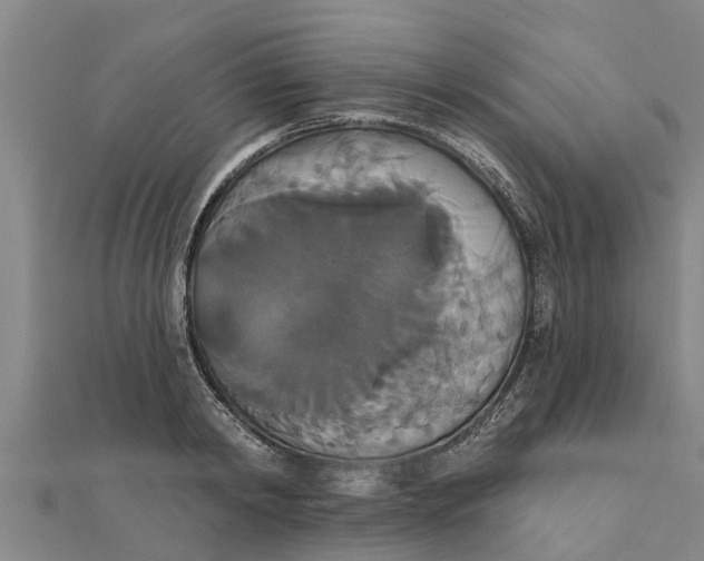 X0000111520798200908041242