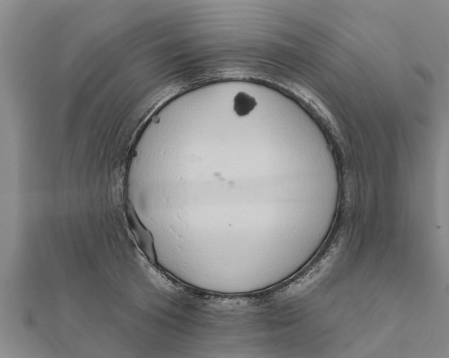 X0000111520801200908041242