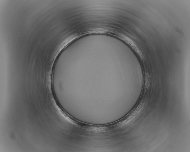 X0000111520802200908041242