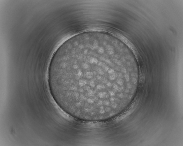 X0000111520803200908041242
