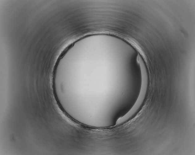 X0000111520805200908041242