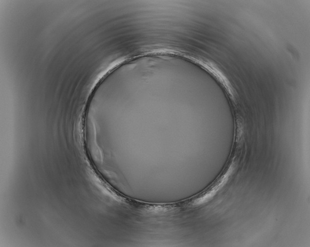 X0000111520806200908041242