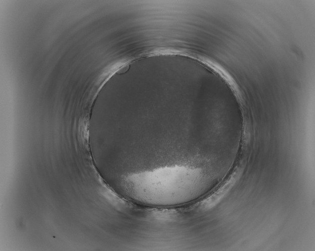 X0000111520809200908041242