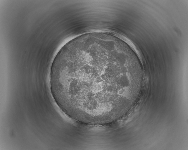 X0000111520811200908041242