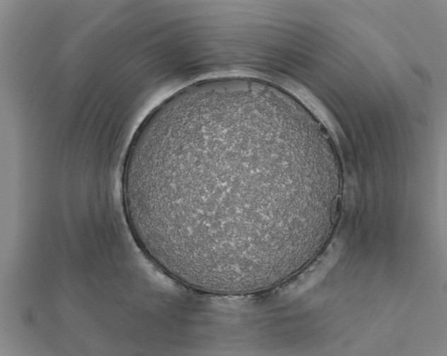 X0000111520813200908041242