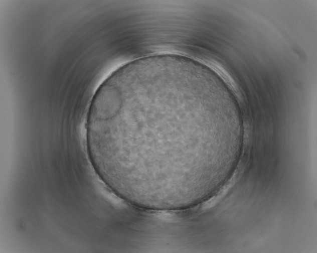 X0000111520814200908041242