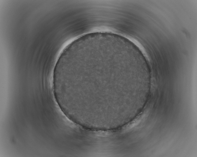 X0000111520815200908041242