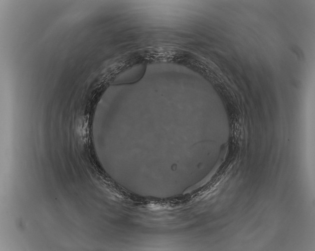 X0000111520818200908041241