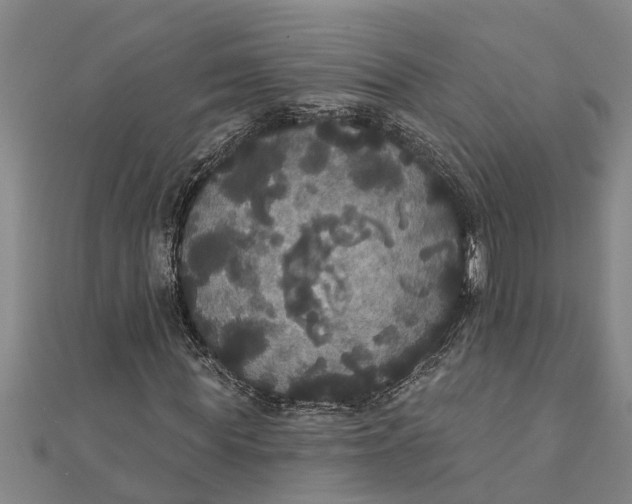 X0000111520819200908041241