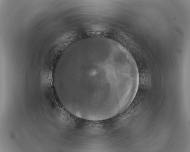X0000111520820200908041241