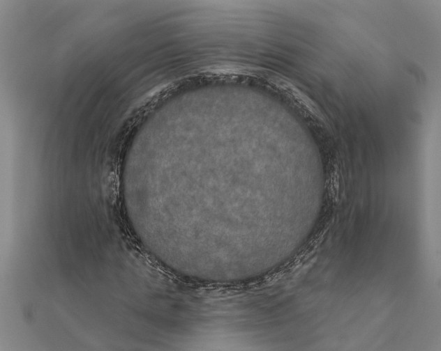 X0000111520821200908041242