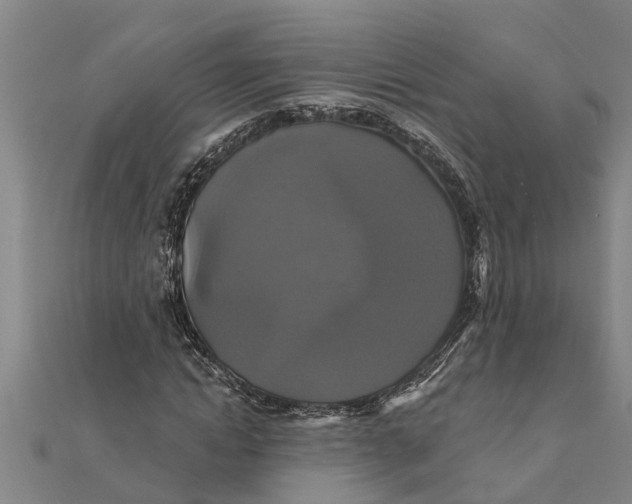 X0000111520822200908041242