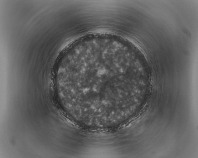 X0000111520823200908041242