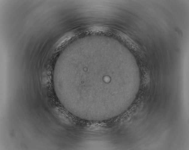 X0000111520824200908041242