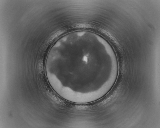 X0000111520825200908041242