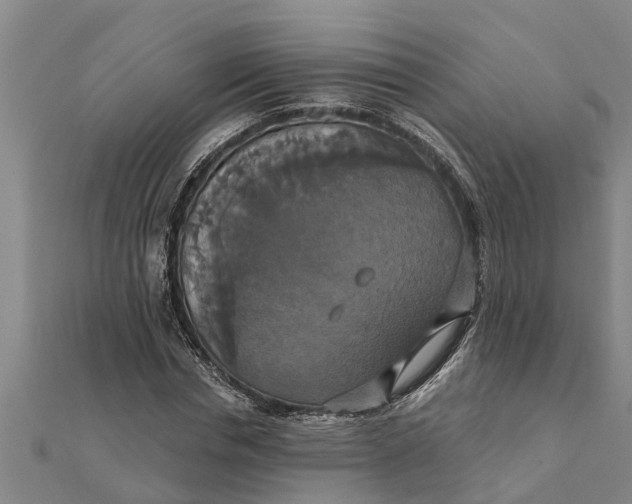 X0000111520826200908041242
