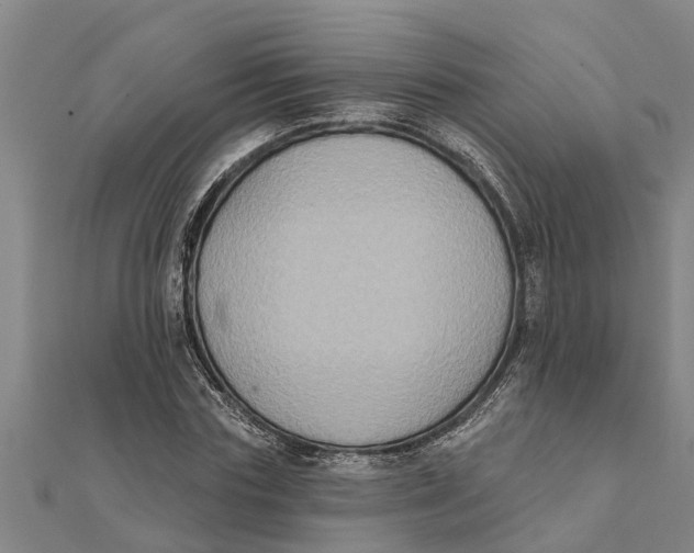 X0000111520827200908041242
