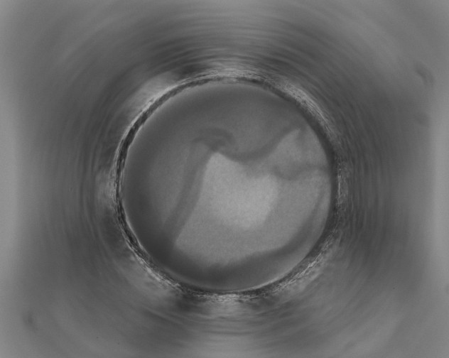 X0000111520828200908041242
