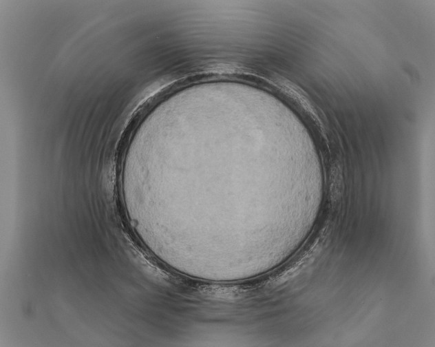 X0000111520831200908041242