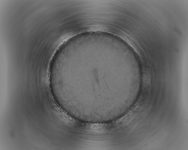 X0000111520832200908041242
