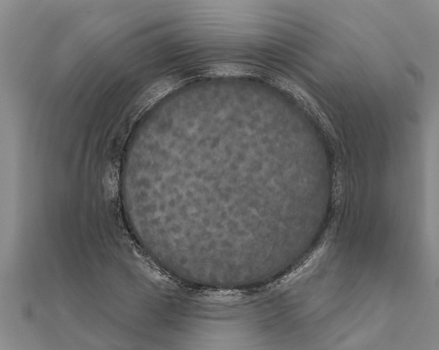 X0000111520833200908041242