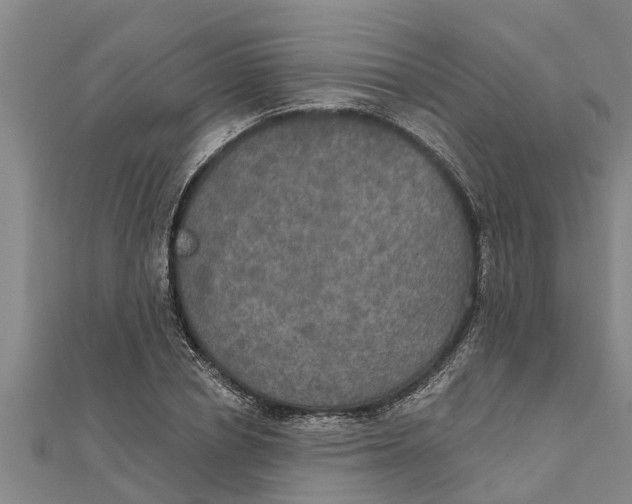 X0000111520834200908041242