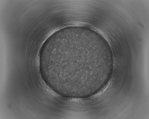 X0000111520835200908041242