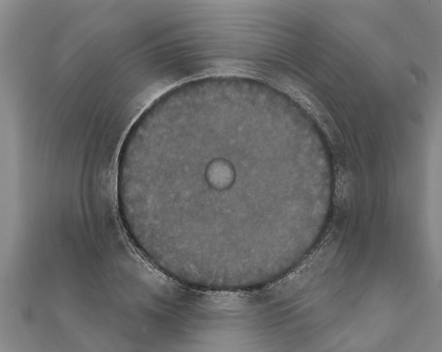 X0000111520836200908041242