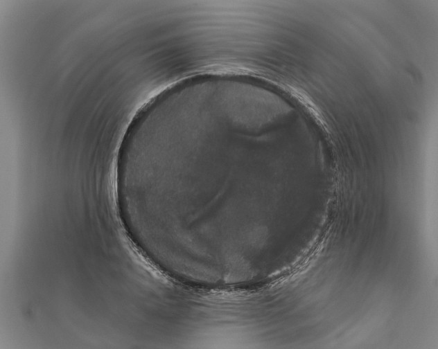 X0000111520840200908041242