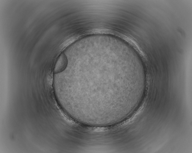 X0000111520841200908041242