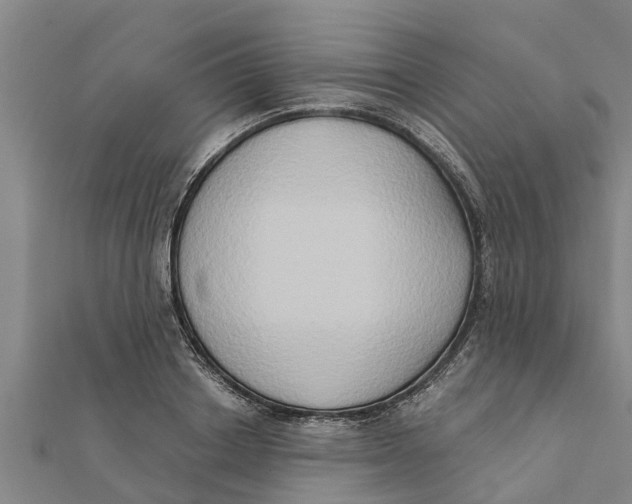 X0000111520842200908041242