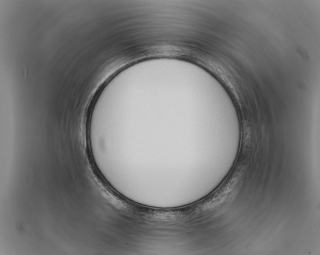 X0000111520843200908041242